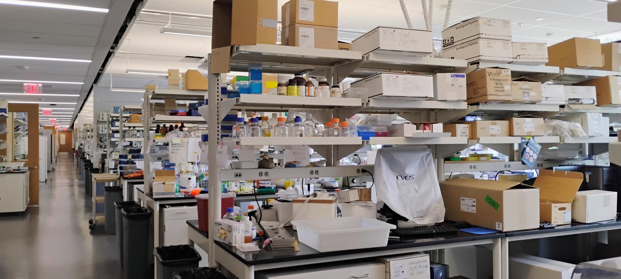 Lab fun photo 4