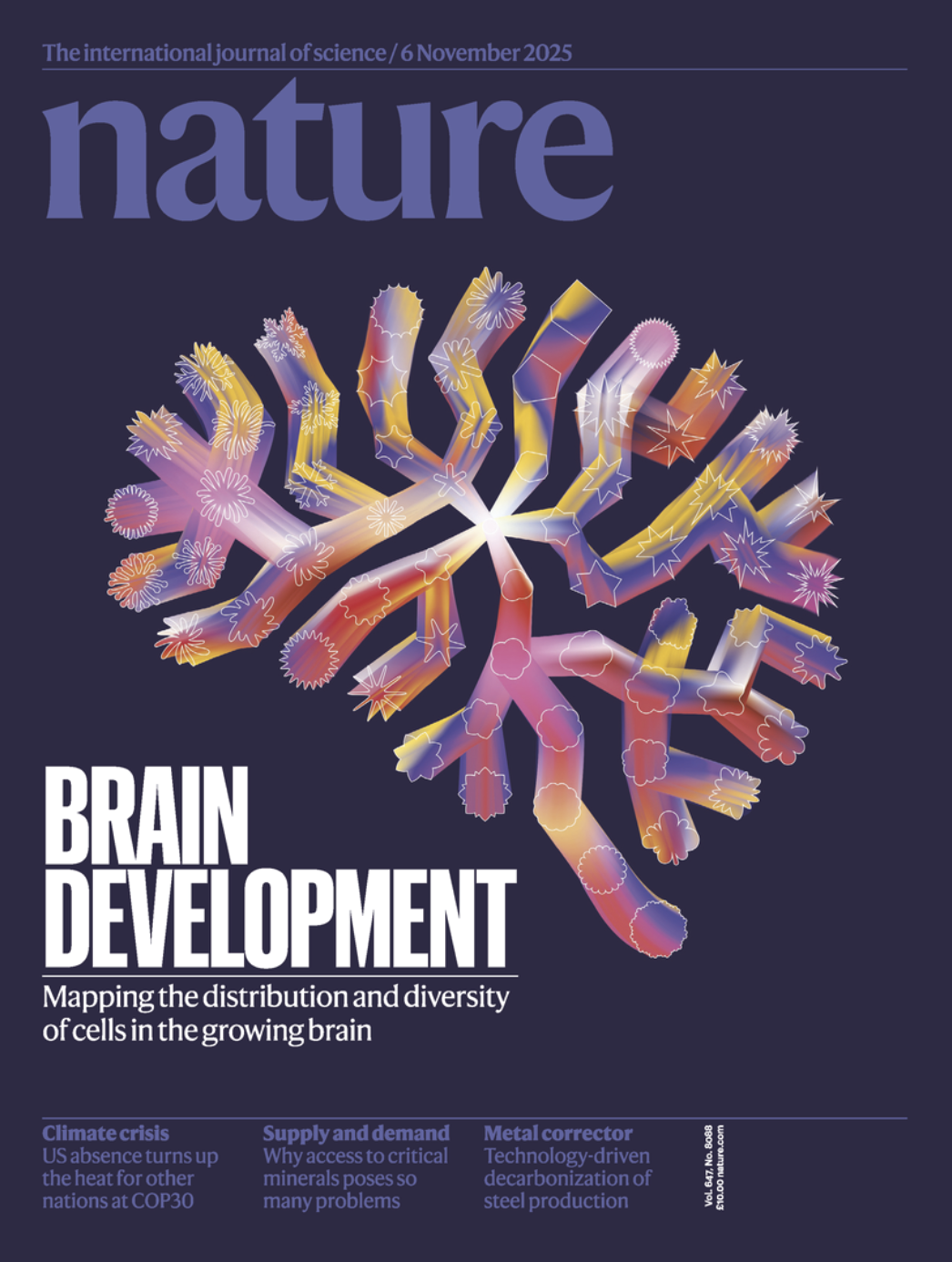 Nature cover article: Sensory input, sex, and function shape hypothalamic cell type development